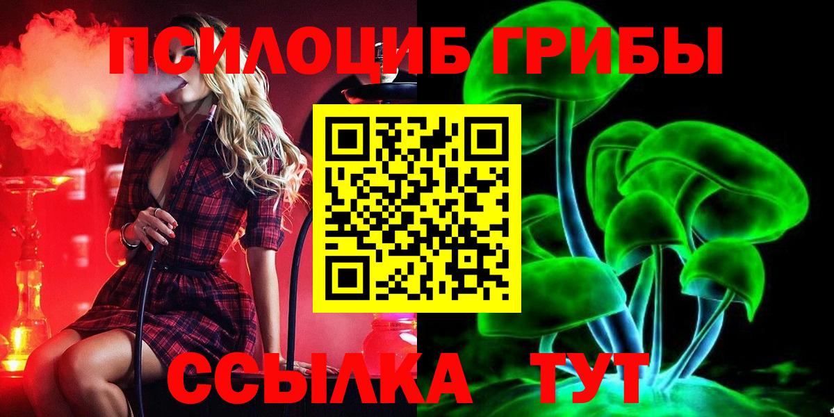 Видное  Псилоцибиновые грибы GOLDEN TEACHER  Вход с VPN 