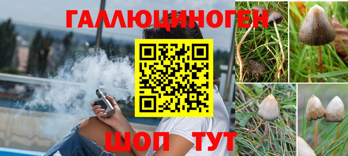 Псилоцибиновые грибы прущие грибы Видное